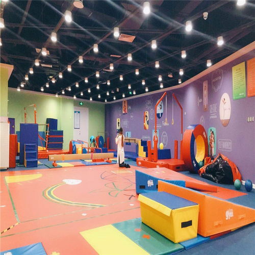 常德亲子乐园儿童器材与感统训练器材 打造安全有趣的成长空间